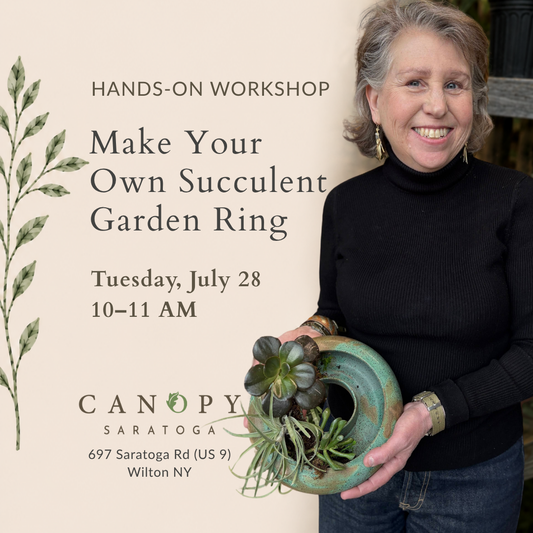 Garden Ring Planter Workshop @ Canopy - Tues July 28 10-11 AM