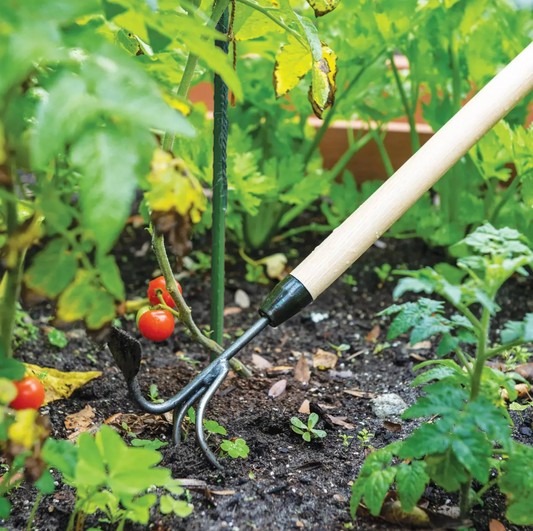 DeWit Comby Hoe – 3-Tine Cultivator & Half-Moon Hoe w/ Long Handle