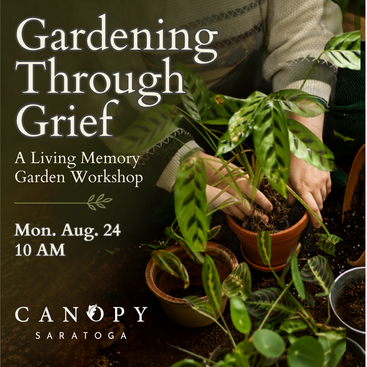 Gardening Through Grief: Creating a Living Memory Workshop