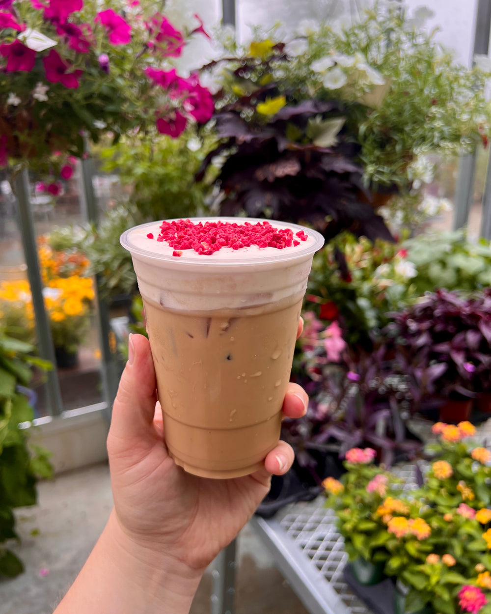 Raspberry Coconut Dream