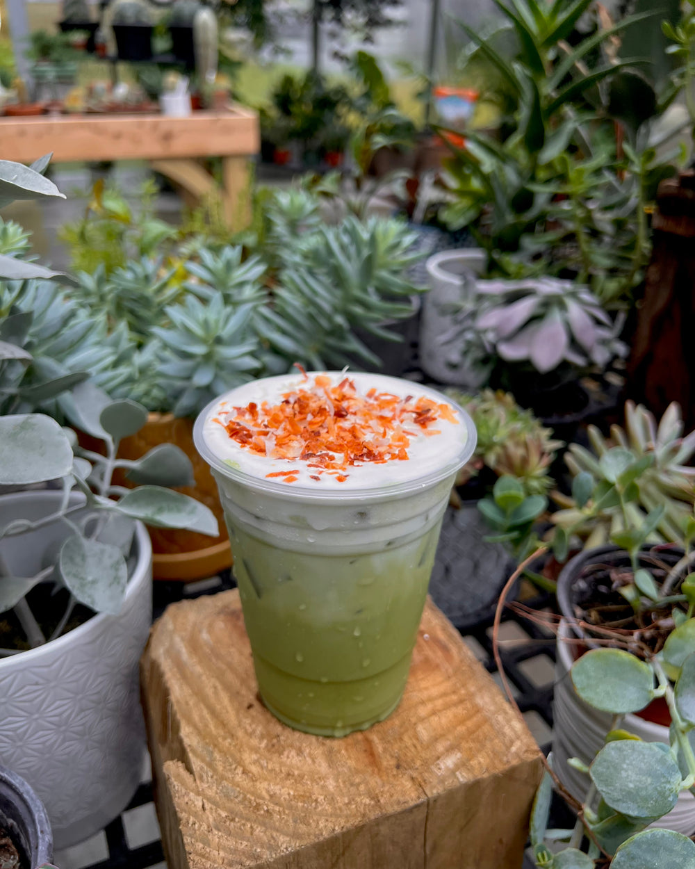Coconut Cake Matcha