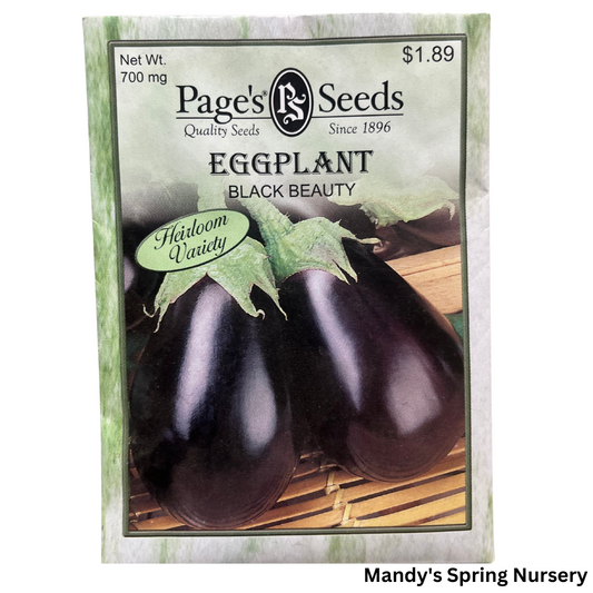 Eggplant, Black Beauty