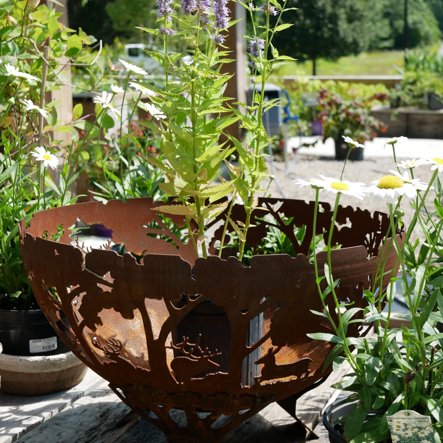 Wildlife Fire Bowl, Steel, Rust - Large