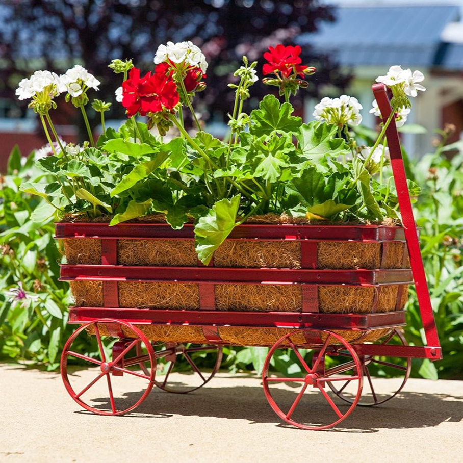 Wagon Planter