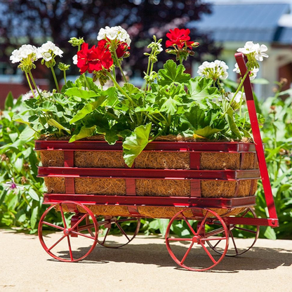 Wagon Planter