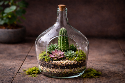 Make Your Own Terrarium Workshop - Feb 19 @ 10 AM @ Canopy Saratoga