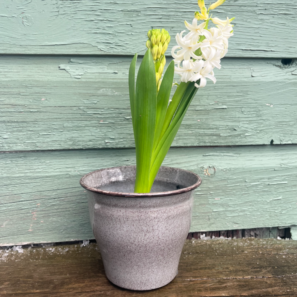 Grey Decorative Pot - Avery - Pebblewood