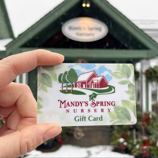 Mandy's Spring Nursery Gift Card