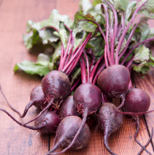 Beets 'Detroit' - Vegetable Seeds