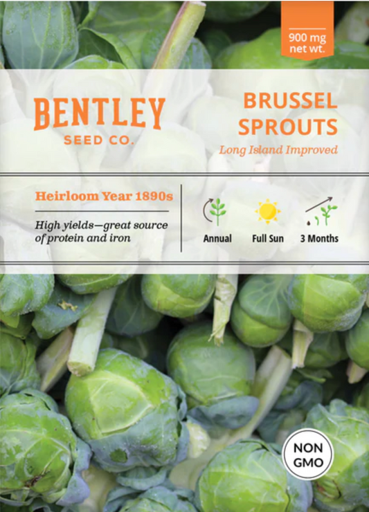 Brussel Sprouts 'Long Island Improved' - Vegetable Seeds