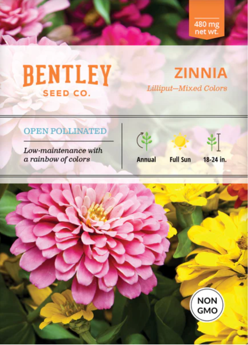 Zinnia 'Lilliput' - Flower Seeds