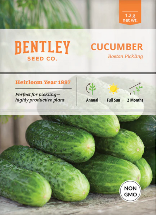 Cucumber 'Boston Pickling' - Vegetable Seeds