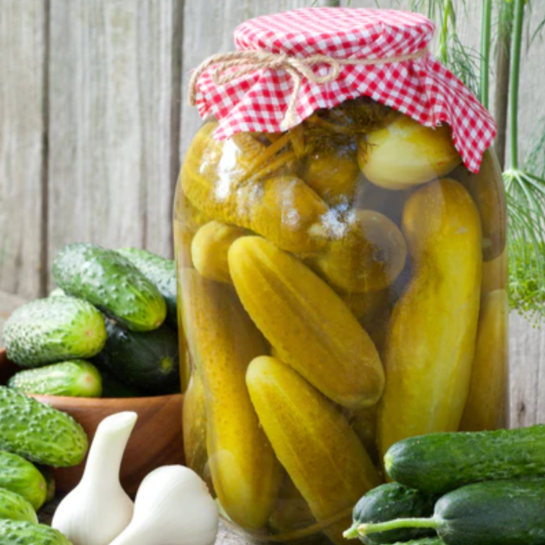 Cucumber 'Boston Pickling' - Vegetable Seeds