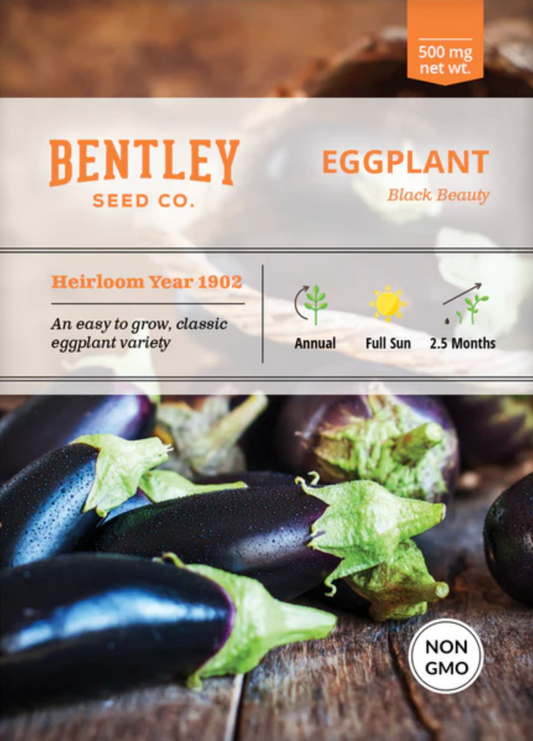 Eggplant 'Black Beauty' - Vegetable Seeds