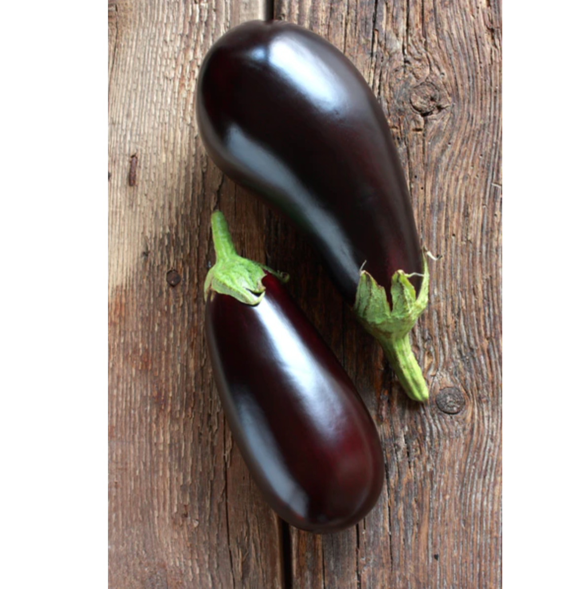 Eggplant 'Black Beauty' - Vegetable Seeds