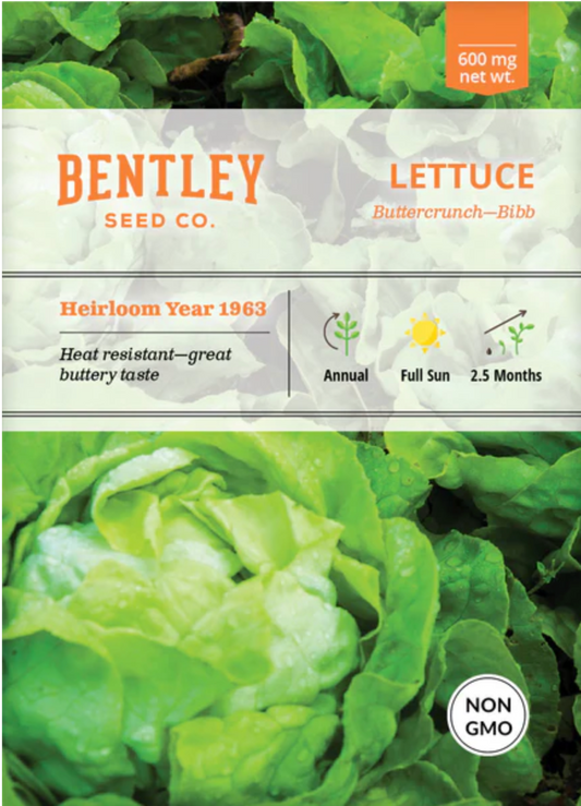 Lettuce 'Buttercrunch' - Vegetable Seeds