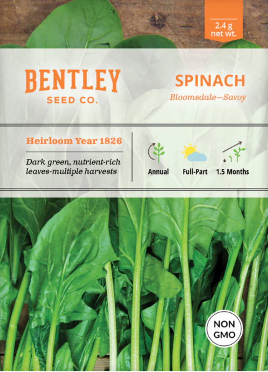 Spinach 'Bloomsdale' - Vegetable Seeds