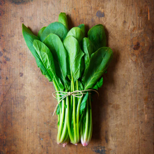 Spinach 'Bloomsdale' - Vegetable Seeds