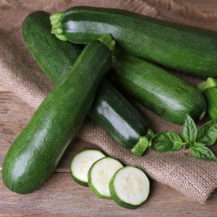 Squash 'Black Beauty' Zucchini - Vegetable Seeds