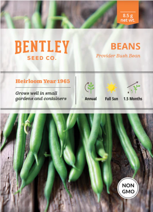 Beans 'Provider' - Vegetable Seeds