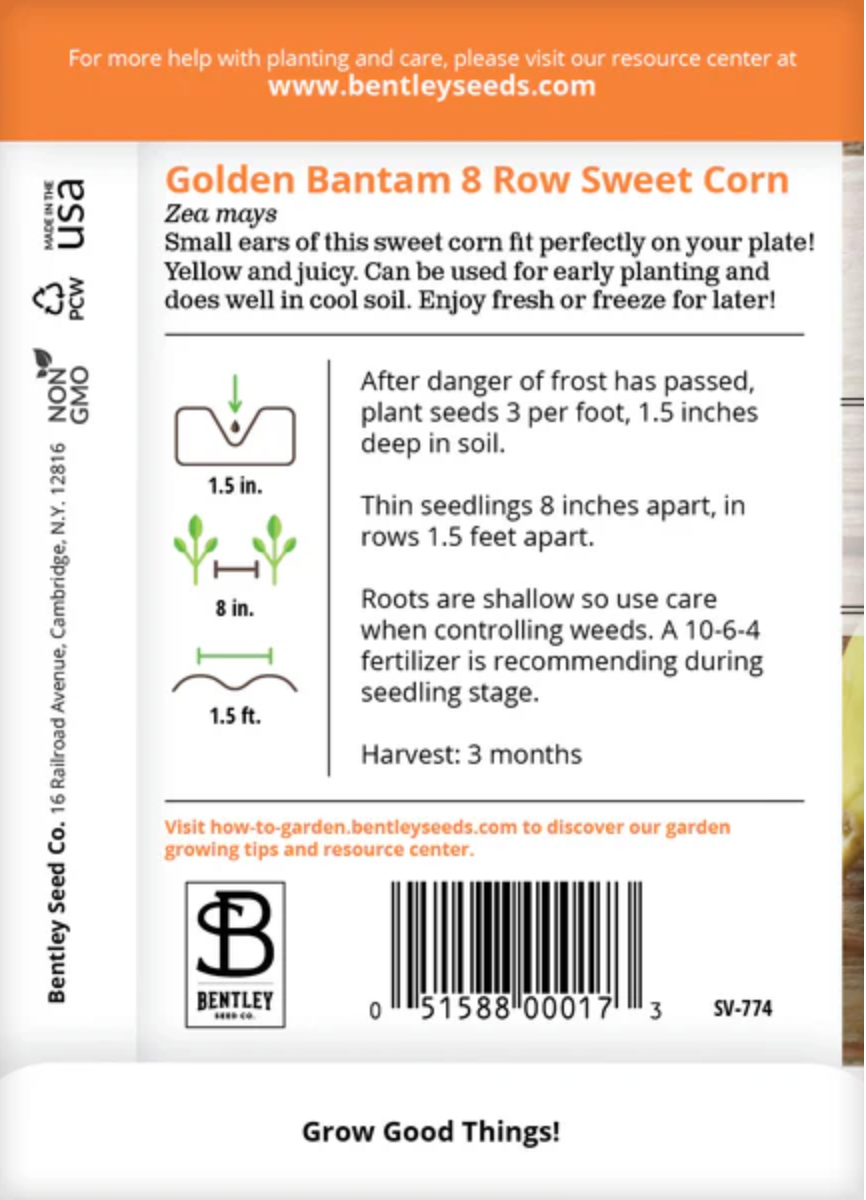 Corn 'Golden Bantam' - Vegetable Seeds