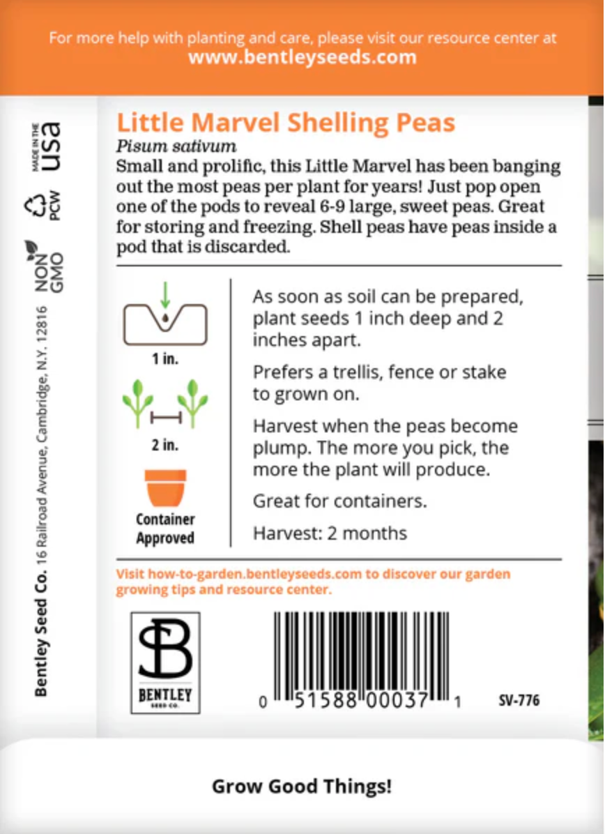 Peas 'Little Marvel Shelling' - Vegetable Seeds