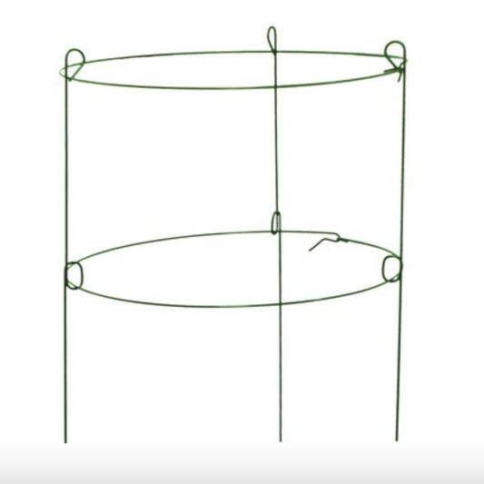 Peony Ring - Plant Support