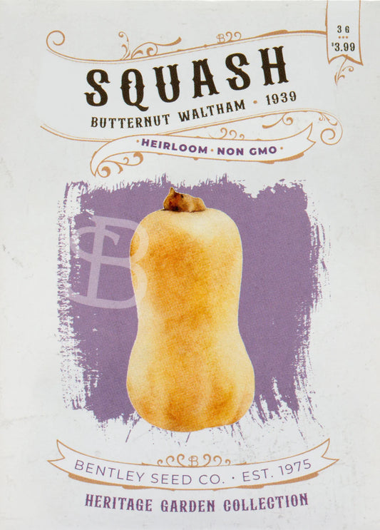Squash Butternut Waltham ( Heirloom- NON GMO) Seeds