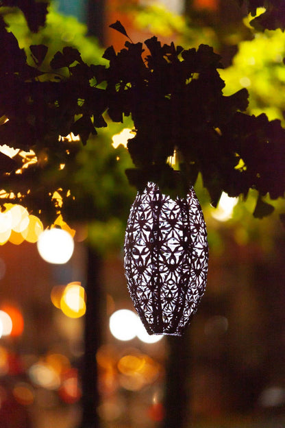 Stella Wildflower Pod Solar Lantern - Blush