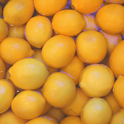 Meyer Lemon with Honey Marmalade