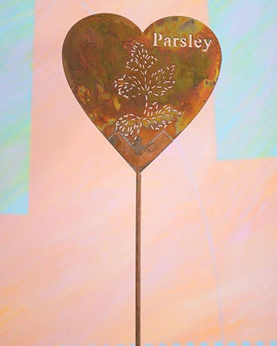 Flamed Parsley Plant Stake