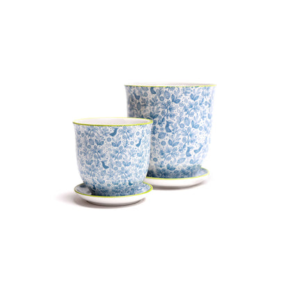 Liberte  Indoor plant pots with drainage 3 & 5 inch planter