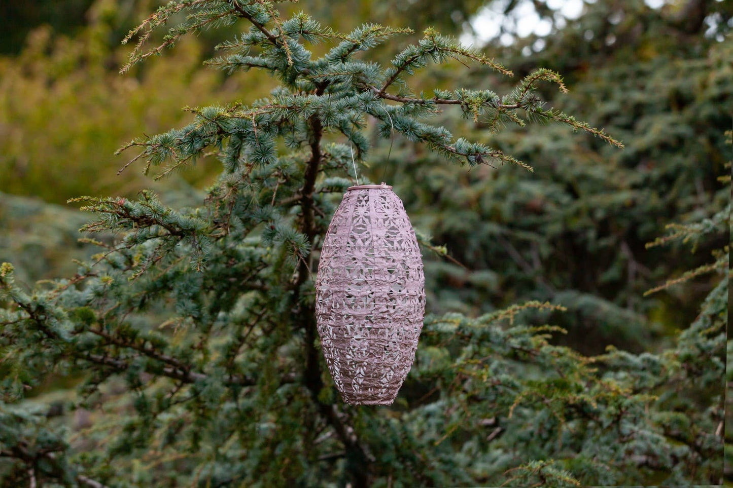 Stella Wildflower Pod Solar Lantern - Blush