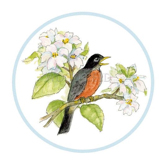 #6002B - Robin Song Enclosure Cards