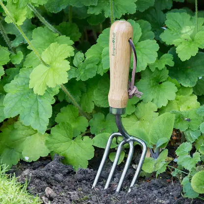 RHS Stainless Rd. Tined Fork