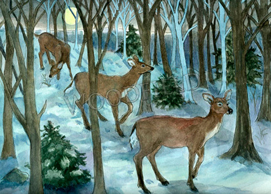 #760 - Winter Deer Walk Notecard