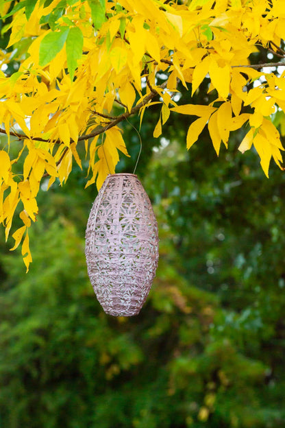 Stella Wildflower Pod Solar Lantern - Blush