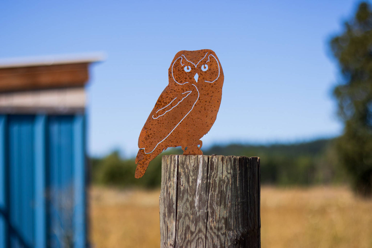 Owl Tab