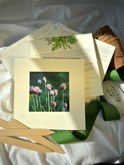 Culinary Herb Garden Box | Holiday Gift for Gardeners