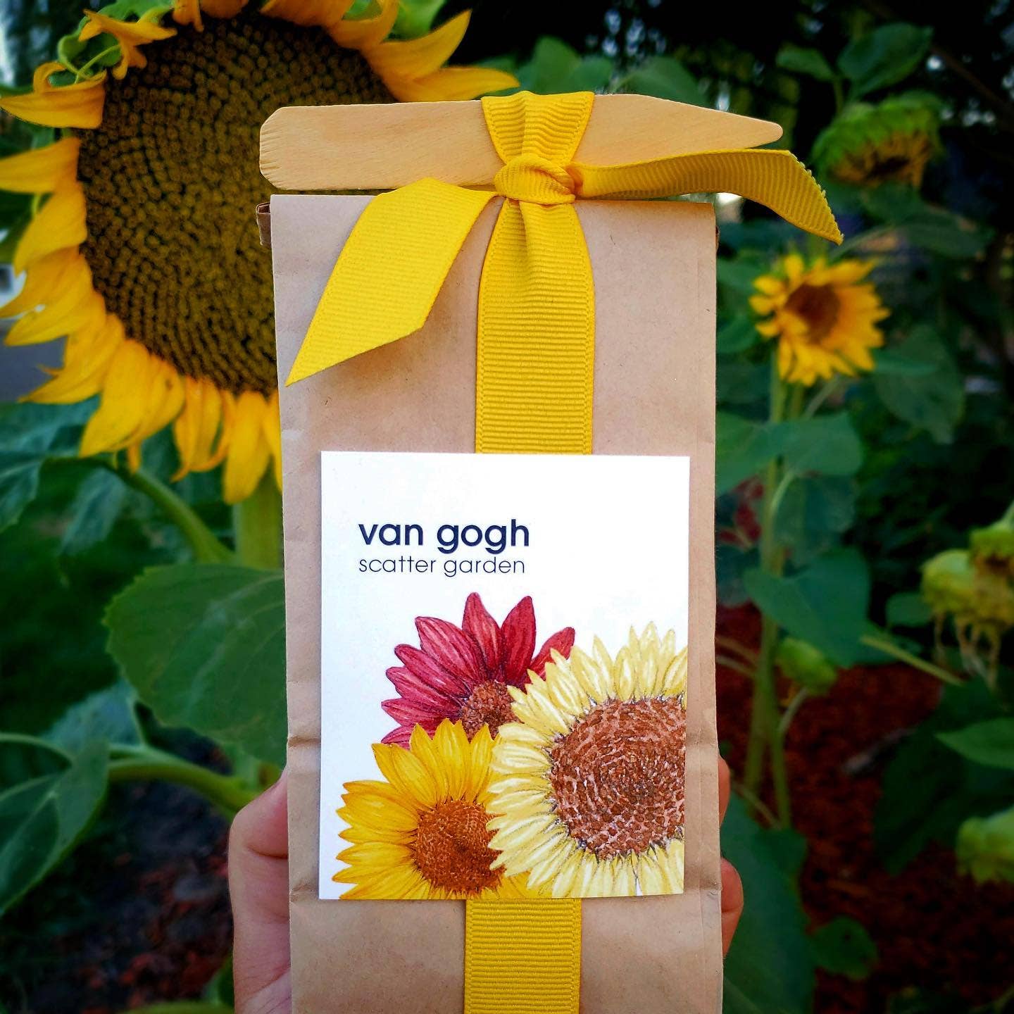 Scatter Garden | Van Gogh Sunflowers | Fall | Best Seller