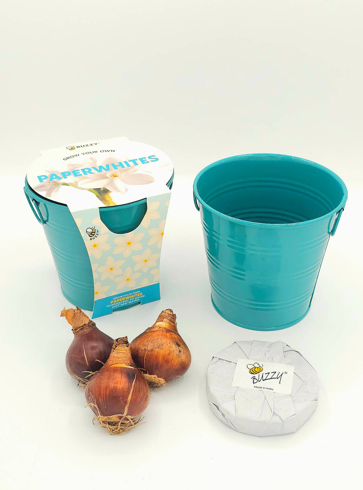 Holiday Paperwhite Bulb Grow Pail | Winter Flower Gift Kit