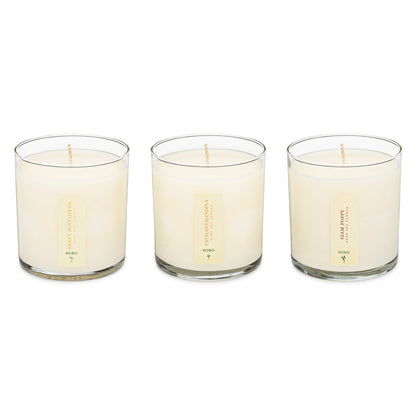 Floral Bouquet - Plant the Box Votive Candle Trio