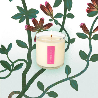 Somerset Thyme - Plant the Box Candle - 9oz.
