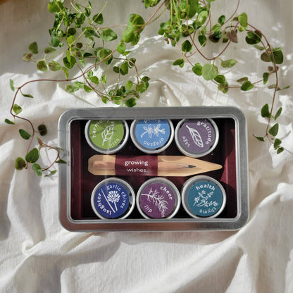 Growing Wishes Herb | Cheer | Holiday Gift for Gardeners