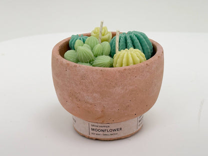 Succulent Candle - Concrete Plant Candle