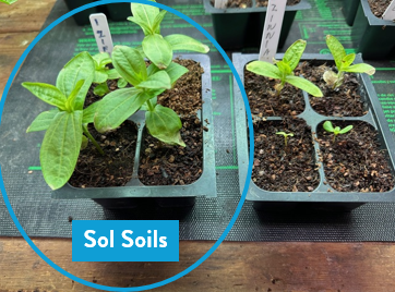 Soil (1Gal) Seedling & Propagation Mix