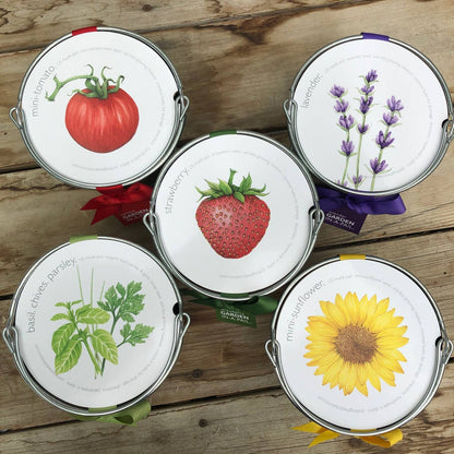 Garden in a Pail Mini Sunflowers | Summer & Fall Flowers