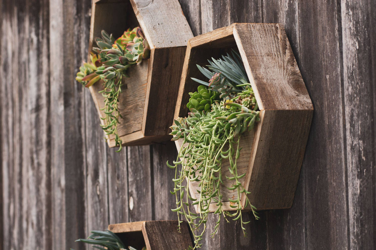Reclaimed Wood Hexagon Planter / Geometric Wall Planter