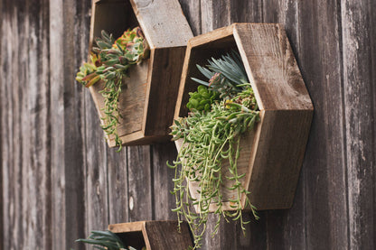 Reclaimed Wood Hexagon Planter / Geometric Wall Planter
