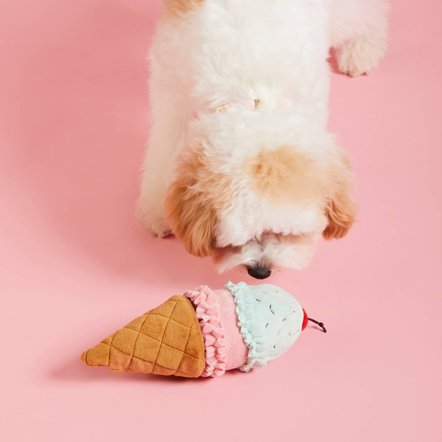 Ice Cream Interactive 2-in-1 Bounce Dog Toy